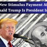 trump stimulus check 2025